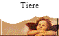 Tiere