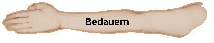 Bedauern