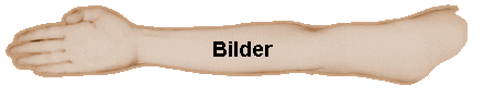 Bilder